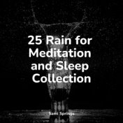 25 Rain for Meditation and Sleep Collection