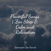 Powerful Songs | Zen Sleep & Calm and Relaxation