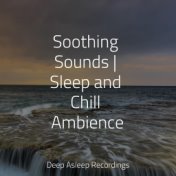 Soothing Sounds | Sleep and Chill Ambience