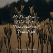40 Meditation Melodies | Transcend and Transform