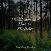 Meditation and Nature Melodies