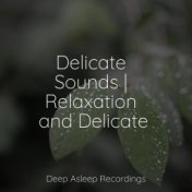 Delicate Sounds | Relaxation and Delicate