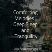 Comforting Melodies | Deep Sleep and Tranquility