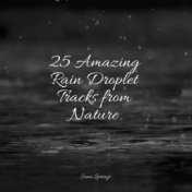 25 Amazing Rain Droplet Tracks from Nature