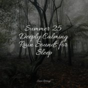 Summer 25 Deeply Calming Rain Sounds for Sleep