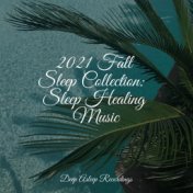 2021 Fall Sleep Collection:  Sleep Healing Music