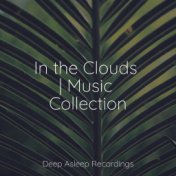 In the Clouds | Music Collection