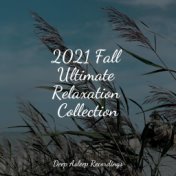 2021 Fall Ultimate Relaxation Collection