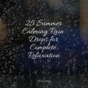 25 Summer Calming Rain Drops for Complete Relaxation
