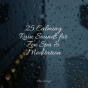 25 Calming Rain Sounds for Zen Spa & Meditation