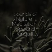 Sounds of Nature | Meditation | Spa and Tranquillity