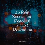 25 Rain Sounds for Peaceful Sleep & Relaxation