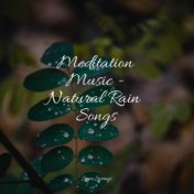 Meditation Music - Natural Rain Songs