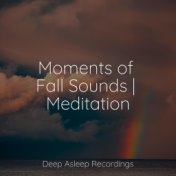 Moments of Fall Sounds | Meditation