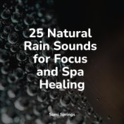 25 Natural Rain Sounds for Focus and Spa Healing