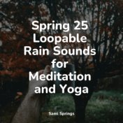 Spring 25 Loopable Rain Sounds for Meditation and Yoga