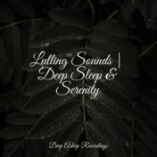 Lulling Sounds | Deep Sleep & Serenity