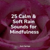 25 Calm & Soft Rain Sounds for Mindfulness