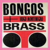 Bongos and Brass