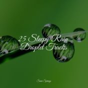 25 Sleepy Rain Droplet Tracks