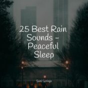 25 Best Rain Sounds - Peaceful Sleep