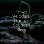 Dawn Melodies | Tranquil Sounds | Sleep