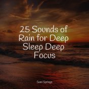 25 Sounds of Rain for Deep Sleep Deep Focus