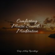 Comforting Music Sounds | Meditation