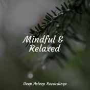 Mindful & Relaxed