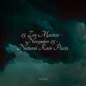 25 Zen Masters - November 25 - Natural Rain Pieces