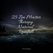 25 Zen Master Therapy: Natural Rainfall