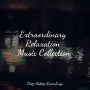 Extraordinary Relaxation Music Collection