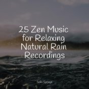 25 Zen Music for Relaxing Natural Rain Recordings