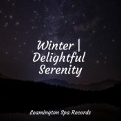 Winter | Delightful Serenity