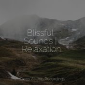 Blissful Sounds | Relaxation