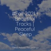 #Fall 2021 | Beautiful Tracks | Peaceful Sleep