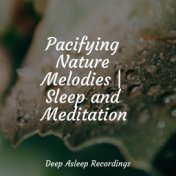 Pacifying Nature Melodies | Sleep and Meditation