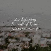 25 Relaxing Sounds of Rain : Nature Sounds