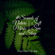 #Sounds of Nature | Soft Music | Spa and Sleep