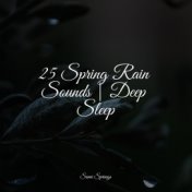 25 Spring Rain Sounds | Deep Sleep