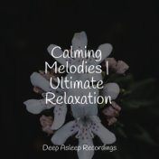 Calming Melodies | Ultimate Relaxation