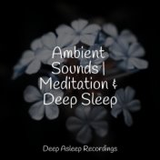 Ambient Sounds | Meditation & Deep Sleep