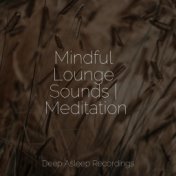 Mindful Lounge Sounds | Meditation