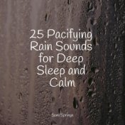 25 Pacifying Rain Sounds for Deep Sleep and Calm