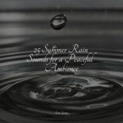 25 Summer Rain Sounds for a Peaceful Ambience