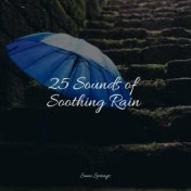 25 Sounds of Soothing Rain