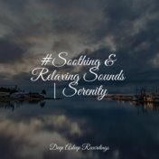 #Soothing & Relaxing Sounds | Serenity