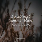 25 Spring & Summer Rain Collection