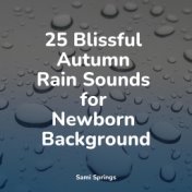 25 Blissful Autumn Rain Sounds for Newborn Background