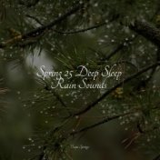 Spring 25 Deep Sleep Rain Sounds